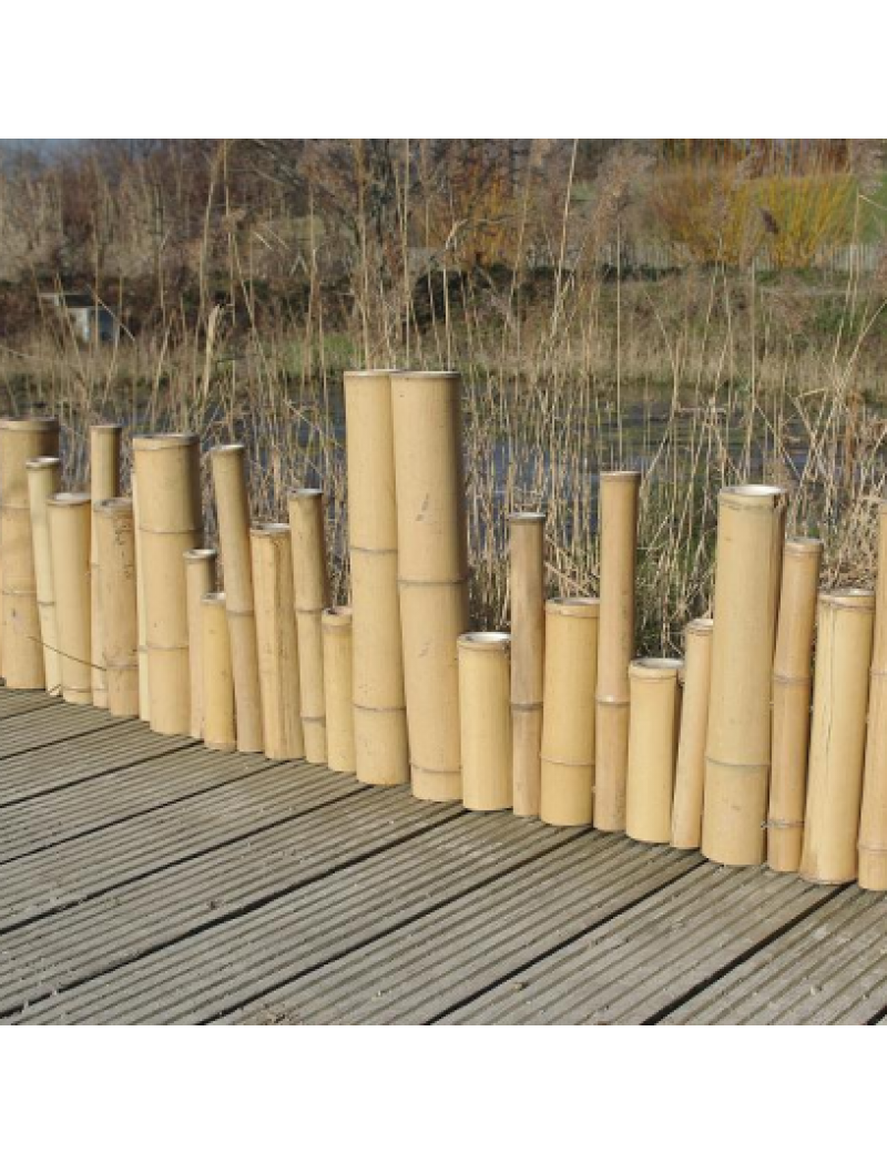  Bordure  Zen bambou  naturel irr gulier Xiao Bambouland 