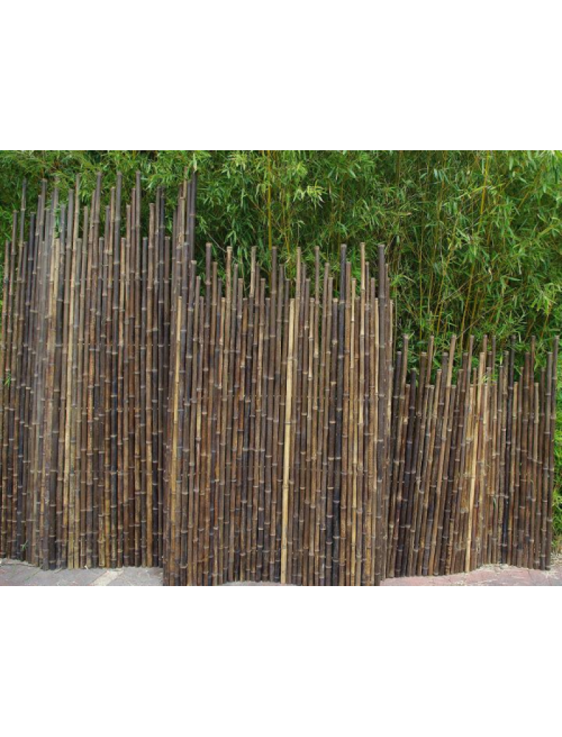 Bambouland Clôture bambou japonaise noir Ø5cm