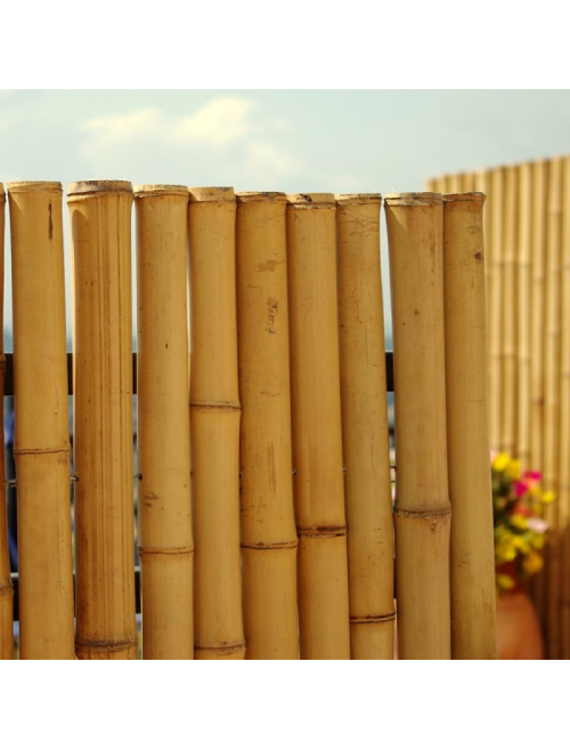 DE-COmmerce Robuste Bambou Bois Vue Protection Clôture aty nigra Haute  Qualité Coupe-Vent Terrasse, Balcon, Jardin Pied de Bambou Clôture avec  Fermé Tuyaux (Hxl) 180 CM X : : Jardin