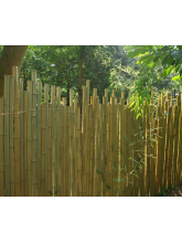 Clôture bambou japonaise Ø5cm