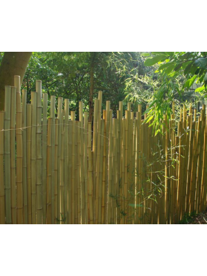 Clôture bambou japonaise Ø5cm