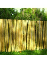 visuel Clôtures en bambou naturel