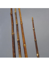 Lot de 10 tiges bambou noir naturelles diamètre 2 cm