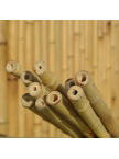 Lot de 10 tiges bambou naturelles diamètre 2 cm
