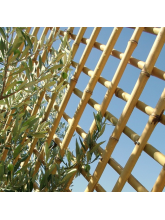 Treillis bambou naturel diamètre 2 cm