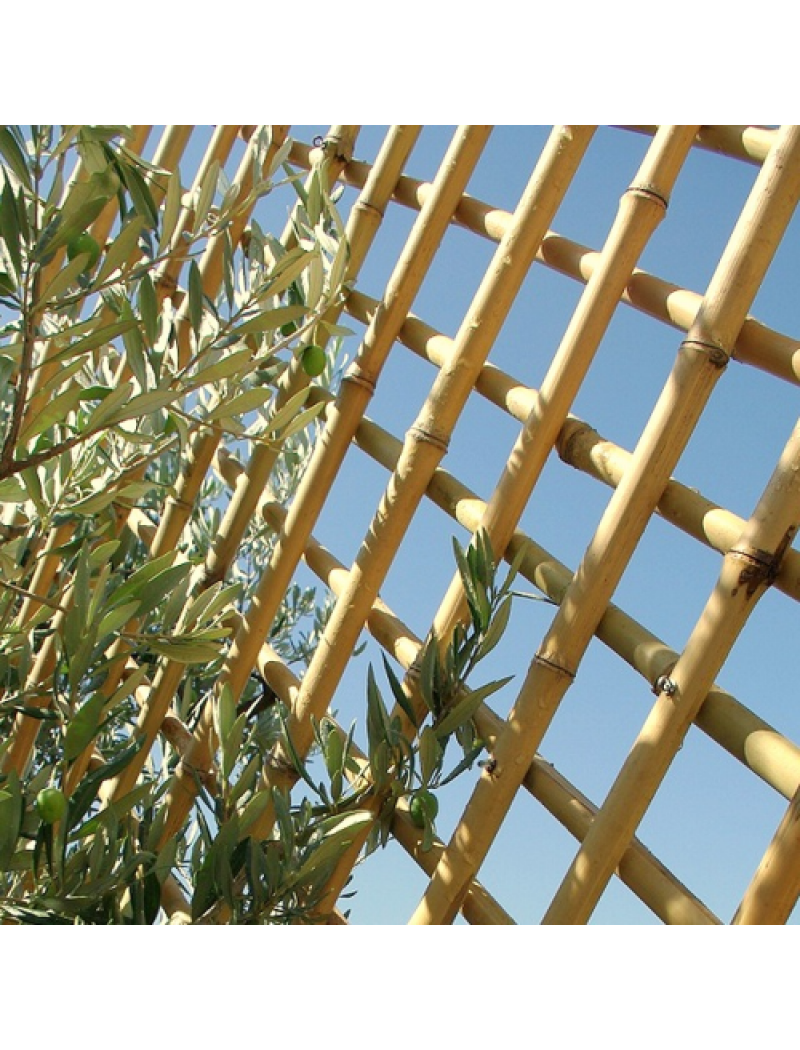 Bambouland Treillis bambou naturel diamètre 2 cm 100 x 100 cm