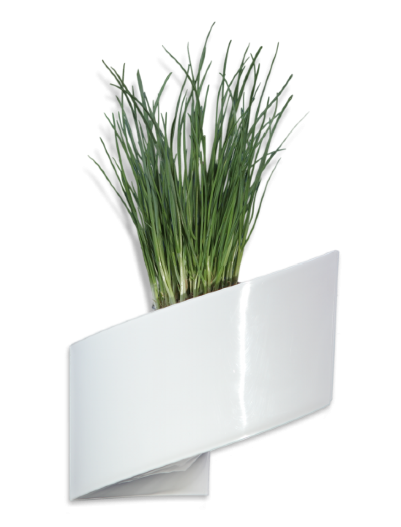 Pot de fleurs mural blanc brillant 16cm Green Turn - Bac à fleurs design -  Jardin Concept