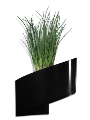 Pot de fleurs mural Noir brillant 16cm