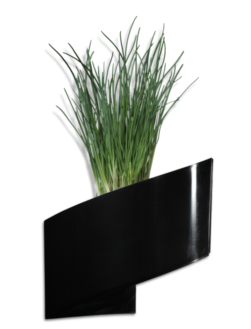 Pot de fleurs mural Noir brillant 16cm Green Turn - Bac à fleurs design -  Jardin Concept