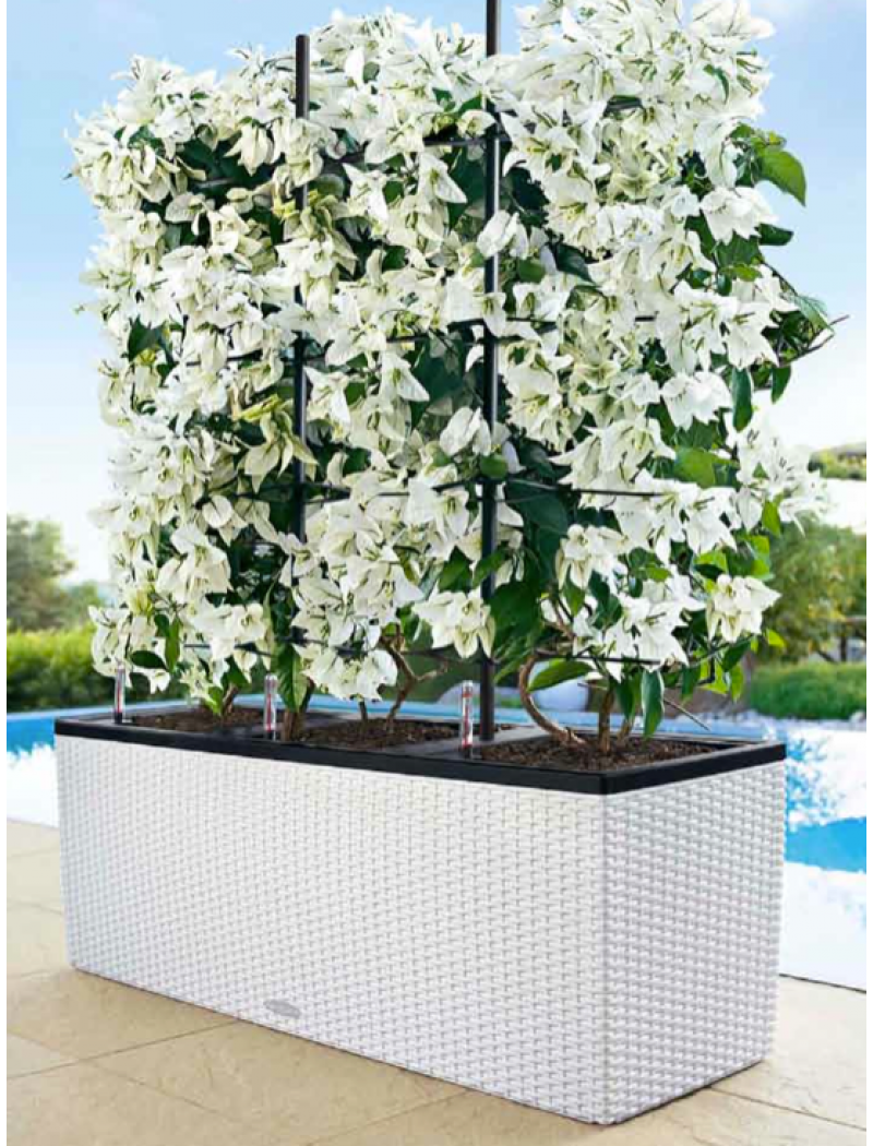 Lechuza Jardinière Cottage Trio Blanc Cottage 30