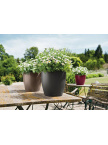 Pot Classico Color Gris Ardoise