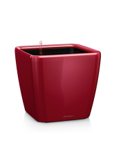 Pot QUADRO LS premium Rouge brillant kit complet