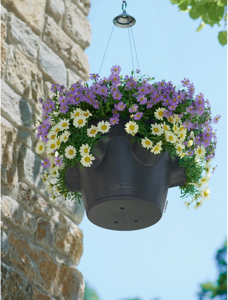 Lechuza Pot Cascadino Color gris ardoise suspendu