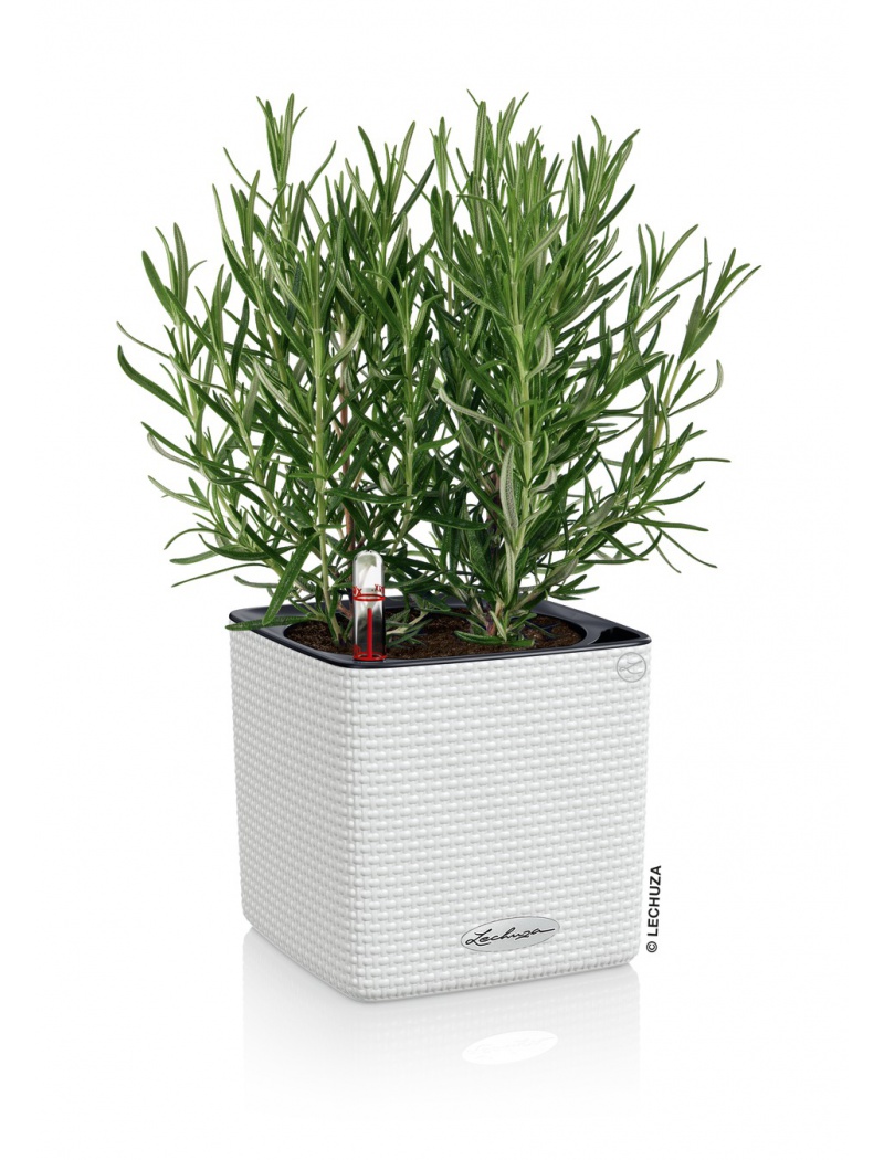 Lechuza Pot Cube Color 14 Blanc