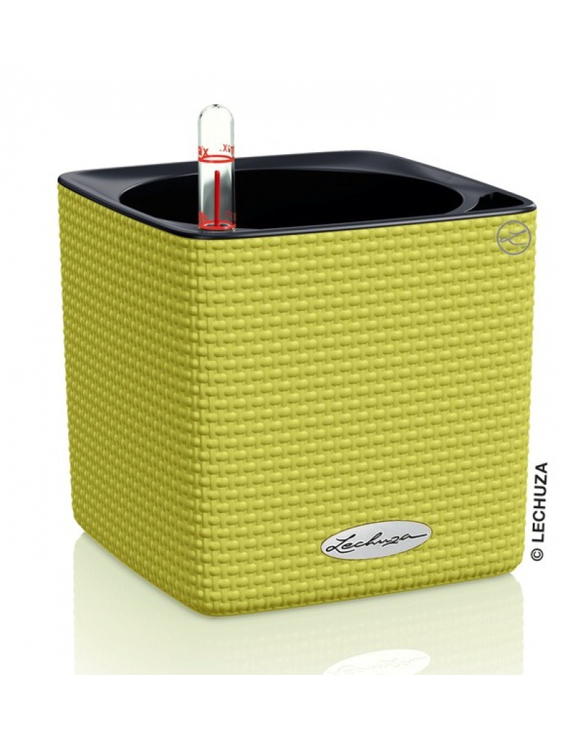 Lechuza Pot Cube Color 14 Vert citron