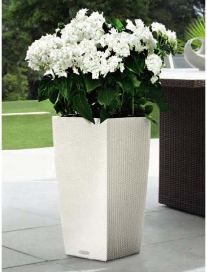 Lechuza Pot Cubico Cottage blanc