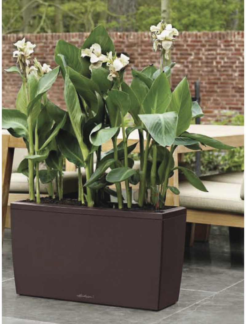 Lechuza Pot Cararo espresso avec set d'arrosage