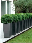 Pot Cubico premium Anthracite