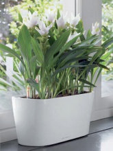 Mini-jardinière Delta 20 blanc brillant